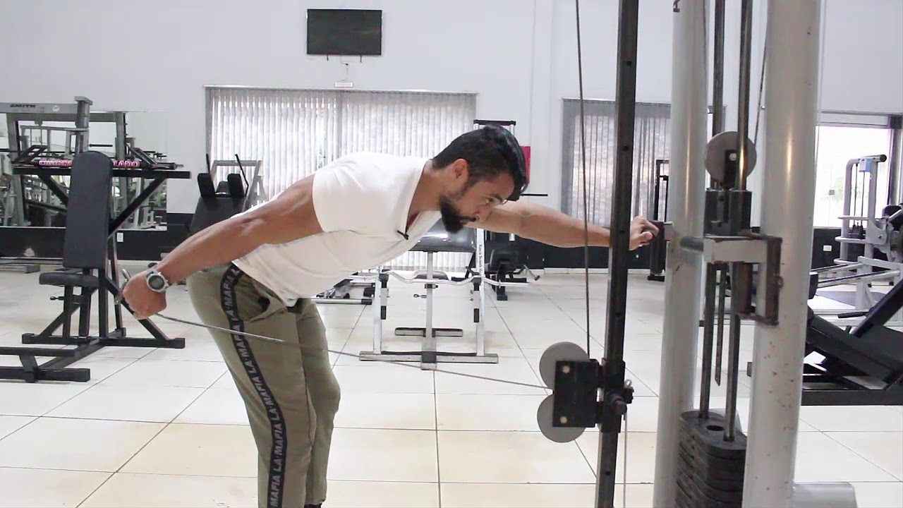 Tríceps Coice Como Fazer do Jeito Certo! YouTube