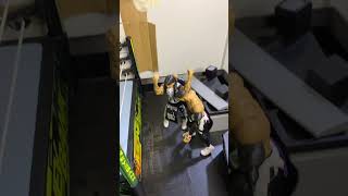 FINN BALOR VS DOMINK MYSTERIO PART 1 #wwefan #finnbalor #actionfigures