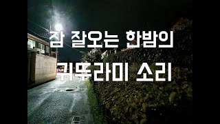 잠 잘오는 한밤의 귀뚜라미 소리,ASMR,the sound of crickets