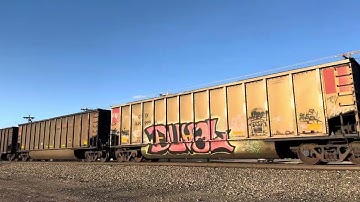 BNSF #3669 Lead’s The Loaded Coal Train Through Security & Widefield, CO 11/16/2025.