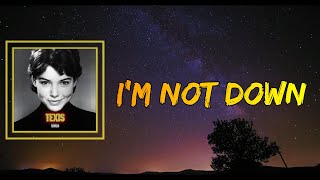 Famous Sleigh Bells - I'm Not Down (Lyrics) Wealth