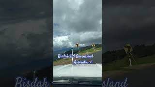 Pinoy 4x4 Queensland Australia 🇦🇺 #australia #offroad #nature #4x4australia