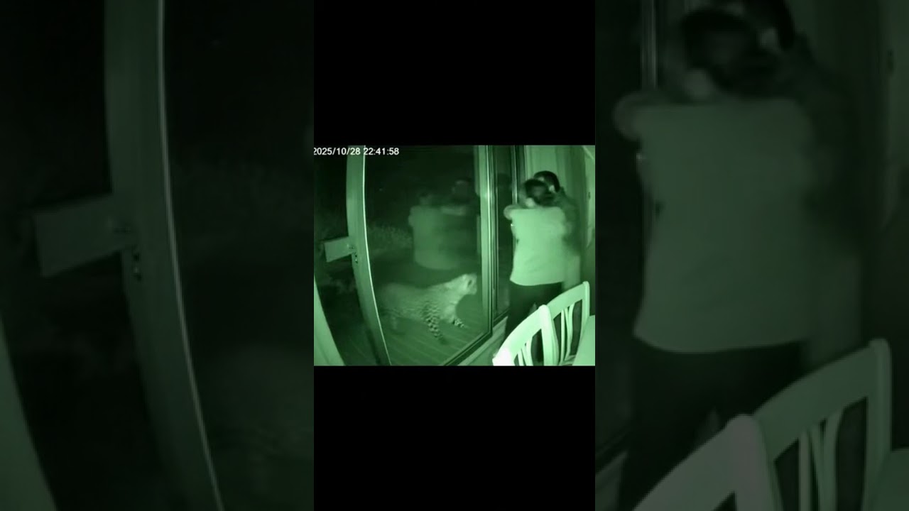🐆🏠 Leopard Caught on Night Cam Near House! (Terrifying Moment)