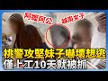 桃警攻堅事件