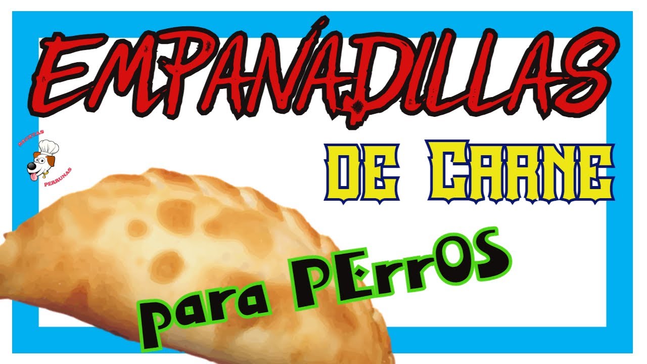 🥟🥟 EMPANADA de CARNE para PERROS!!!