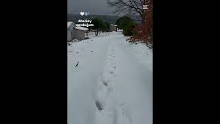 Bursa Gemlik Yalova Hayriye Köyü