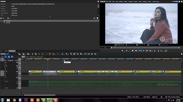 26 VIDEO FILTERS VIDEO STABILIZER EFFECT || Wedding Film Maker || Edius Classes