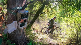 видео: Проверка ФОТОЛОВУШЕК мало кадров, большой ЛОСЬ. Осень в ЛЕСУ картинка: Проверка ФОТОЛОВУШЕК мало кадров, большой ЛОСЬ. Осень в ЛЕСУ