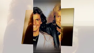 Modern Talking - You Can Win If You Want (Special Remix)