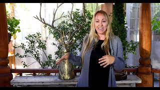 How to Create a Rustic Christmas Tablescape with Emily Morgan