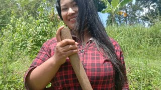 Si MONTOX Dapat PUSAKA Si MONTOX Dapat PUSAKA