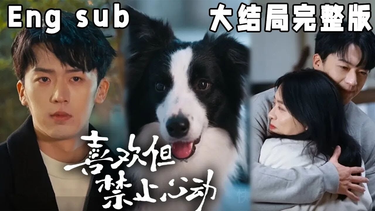 喜欢但禁止心动：甜蜜奇幻爱情故事