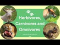 Animal Diets Quiz