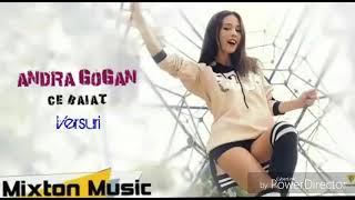 Andra Gogan -Ce baiat (versuri/audio)