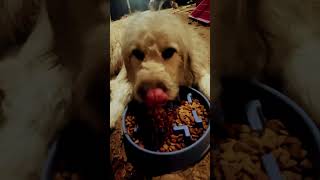 Day 942 With Violet Tuliza