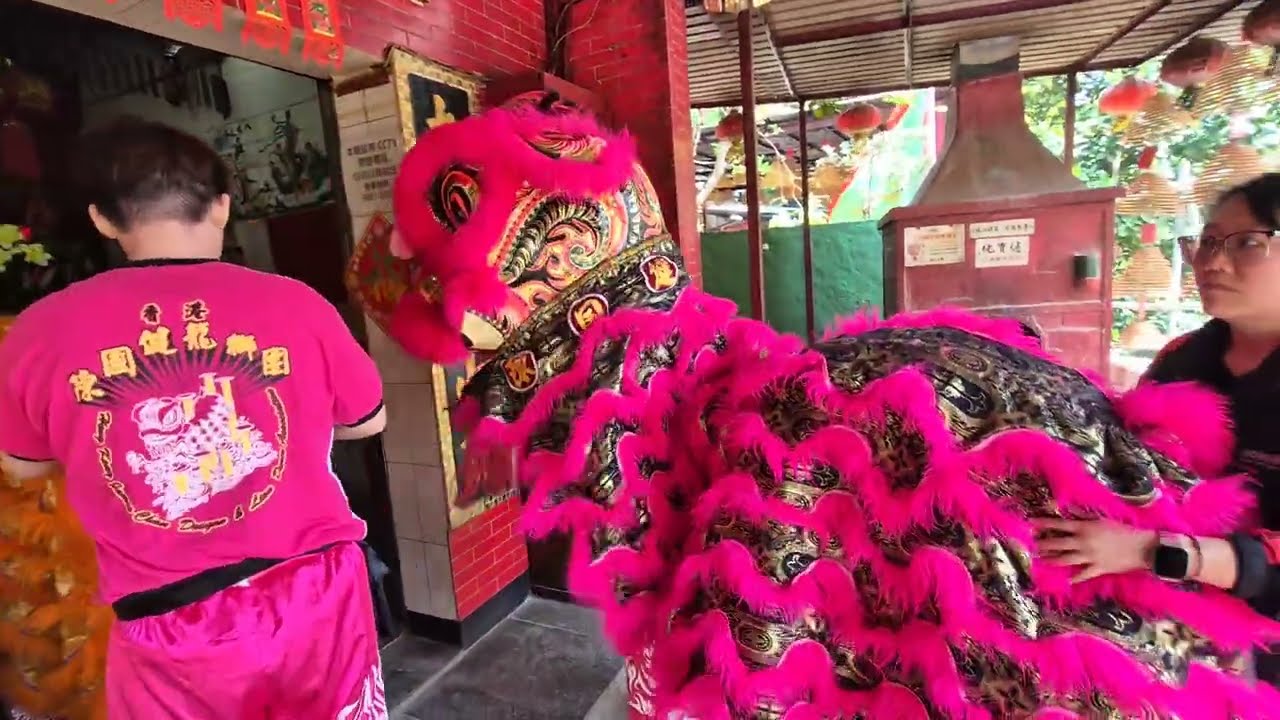 香港陳國健龍獅團 國棟體育會 @ 雙星報喜丙午年祈福謝神恩圓滿。HK James Chan Lion Dance