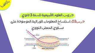 درس03: استنساخ المعلومات الوراثية الموجودة على مستوى الـ DNA | بكالوريا علوم تجريبية