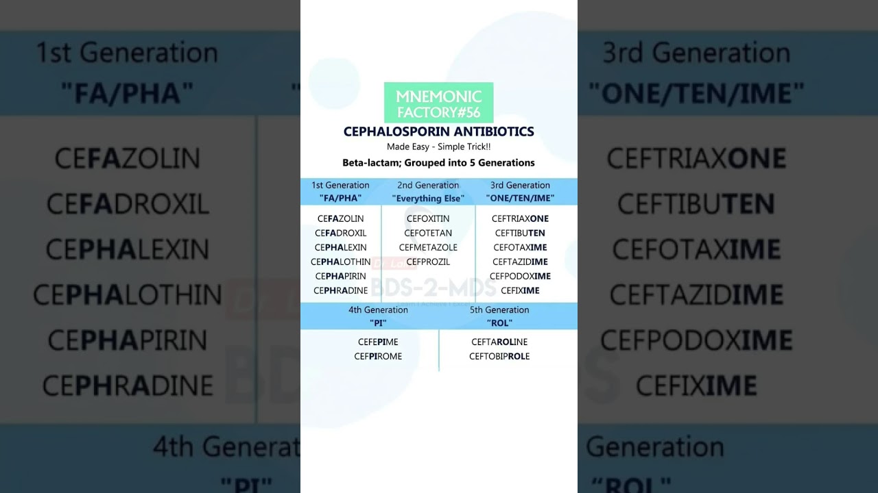 Cephalosporins in 60 Seconds! The Easiest Way to Learn All 5 Generations  #pharamcology #antibiotics