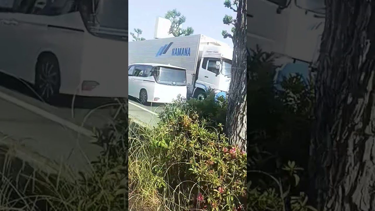 Suzuki alto Nissan Moco UD Nissan Weng Van truck asrmvedio (@leotvadventure)