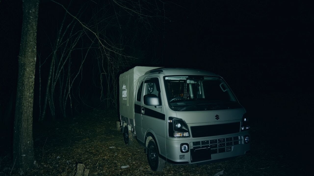 Одиночный поход в лес, ночевка в машине.