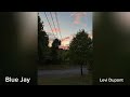 Blue Jay (Instrumental) - Levi Dupont