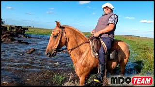 VUELVE EL PROFESOR DEL PINO A VIDA CAMPESTRE