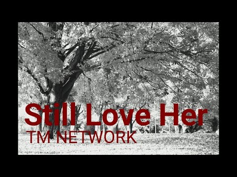 【Still Love Her(失われた風景)】TM NETWORK 　Koji Sugayaさんとのコラボ