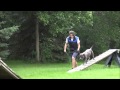 Dee (APBT) Trained Dog Video Dee (APBT) Trained Dog Video