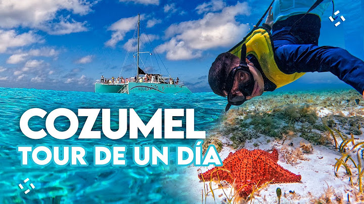 EL CIELO COZUMEL Tour de 1 día desde Playa del Carmen ¿Que incluye? ¿Vale la pena? ✨🌊