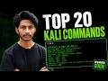 Top 20 Kali Linux Commands Every Beginner Must Know | Ethical Hacking Telugu