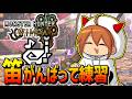 【ワイルズ】カリピスト王に俺はなる配信【狩猟笛】【モンハンワイルズ】【MHWilds】