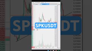 Spkusdt