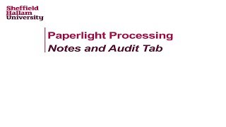 Notes and Audit Tab