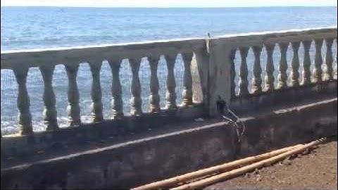 Villa Duyung, Kalianget, Seririt, BALI