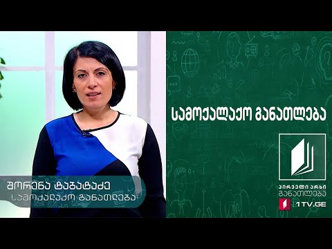სამოქალაქო განათლება - მოხალისეობა #ტელესკოლა