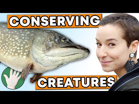 Conserving Creatures - Objectivity 235