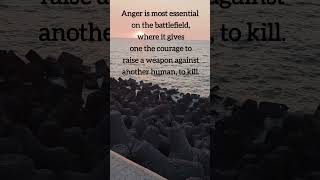 Is Anger good? #inspovibeswithsk #lifelessons #angermanagement #angry #author