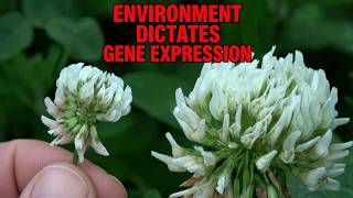 Regen Ag School 2026-058 | The Soil Writes the Food — Why This Produce Is Different