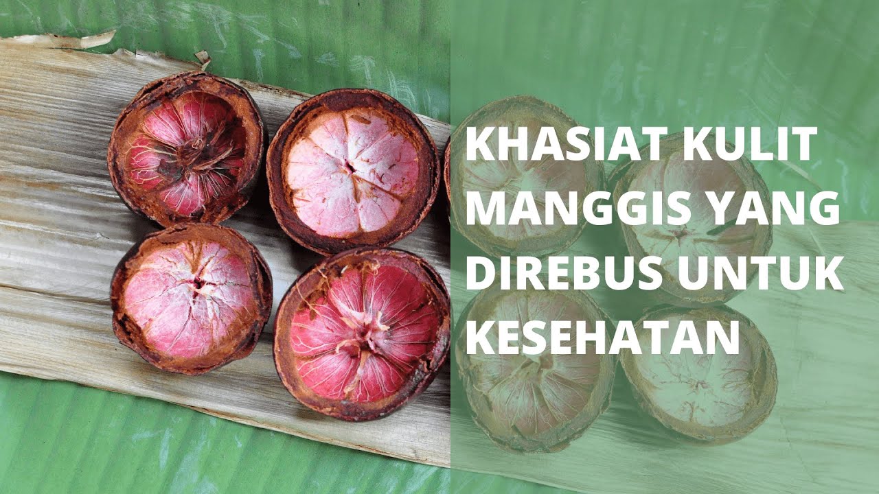 Khasiat Kulit Manggis Yang Direbus Untuk Kesehatan 