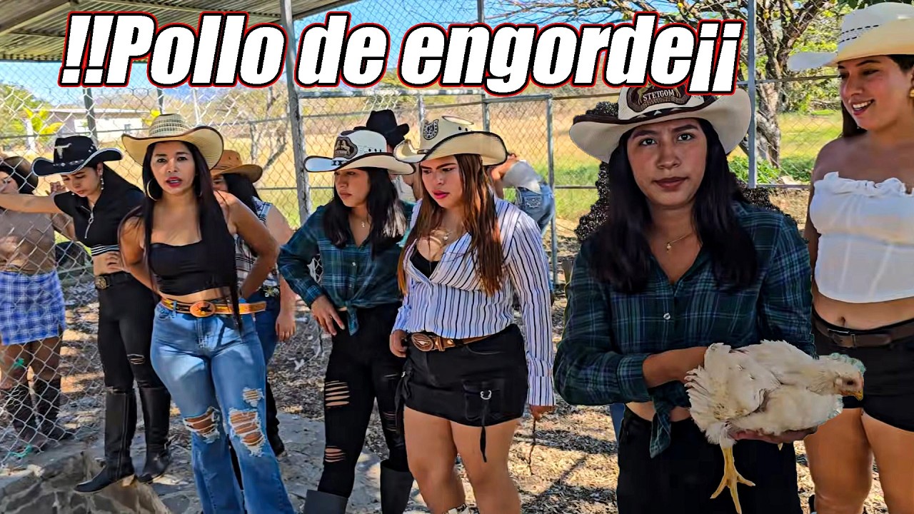 Alimentando los pollos de la granja 🐓