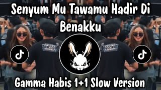 SENYUM MU TAWAMU HADIR DI BENAKKU - HABIS 1+1 GAMMA SLOW VERSION VIRAL TIKTOK TERBARU 2026 !!