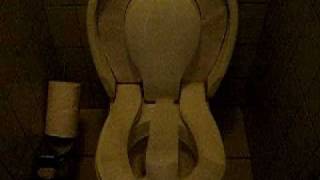 Automatic sanitary toilet