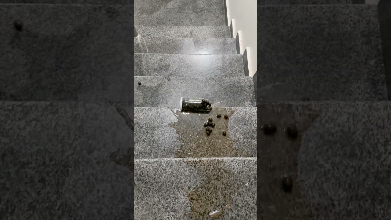 Crunchy & Soft Destruction! Glass Bottles No More