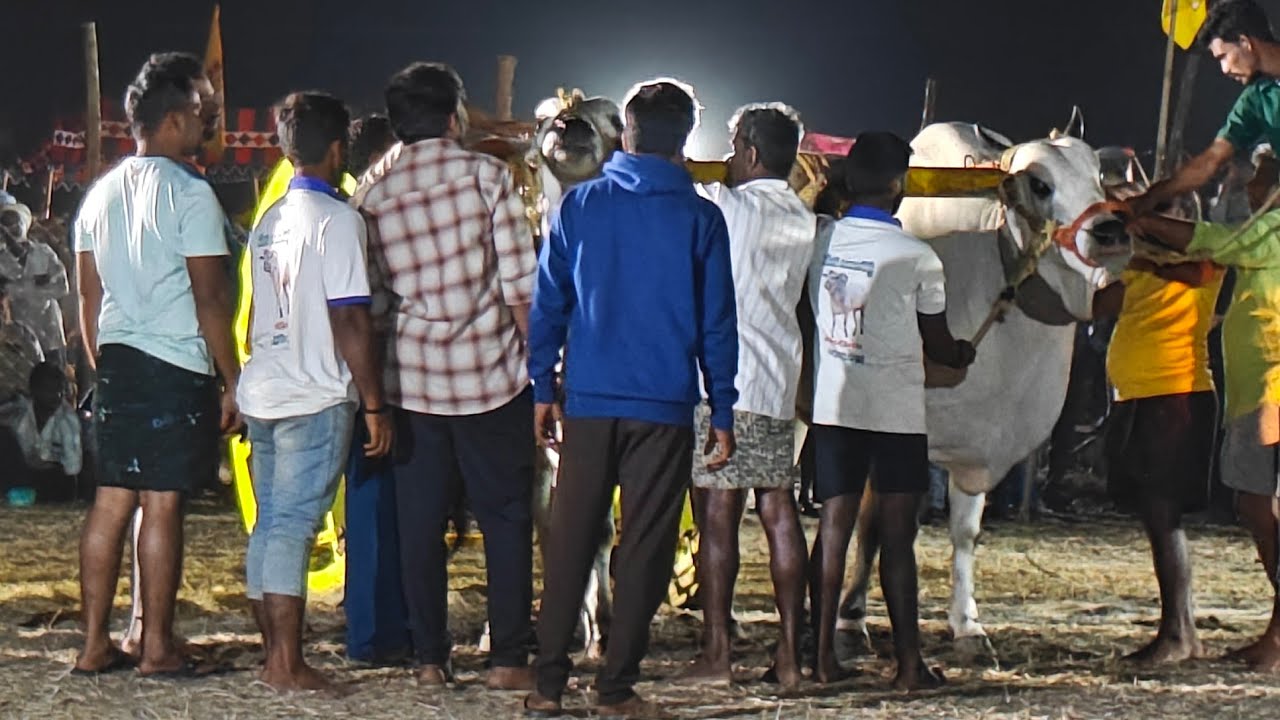 ఆకునూరు పూటి సీనియర్స్ 16వ జత పిన్నే బోయిన.సూర్య అశ్విక్ యాదవ్ గారు రెంటాల గ్రామం పల్నాడు జిల్లా