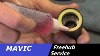 mavic freehub maintenance / service