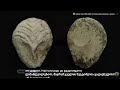 11 000-летние модифицированные человеческие черепа в Гёбекли-Тепе