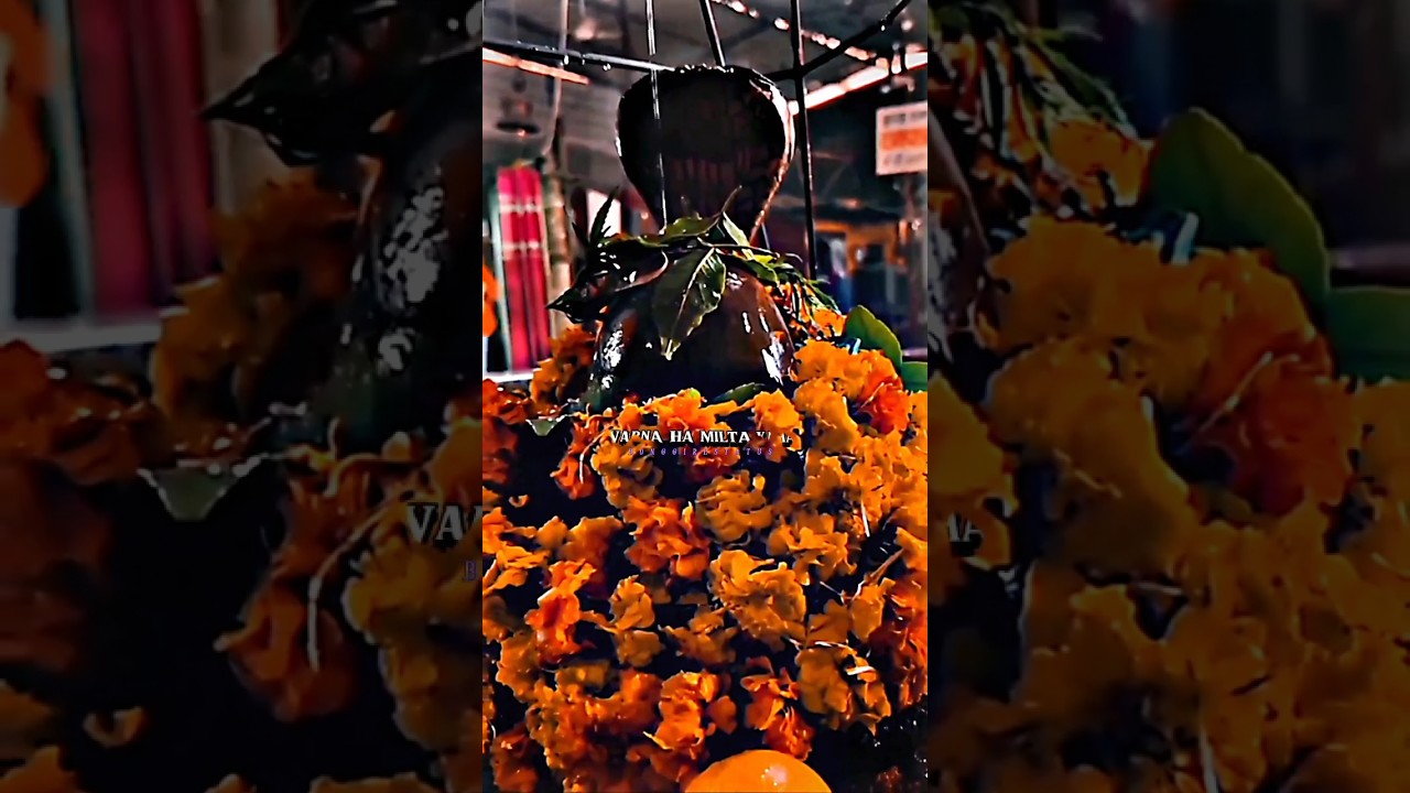 बिन मांगे इतना दिया 🙏🕉️ Kya khub rab ne kiya ☘️ 