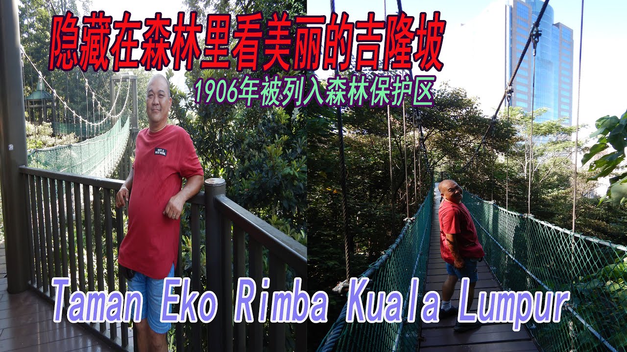 隐藏在森林里看美丽的吉隆坡 Taman Eko Rimba Kuala Lumpur 又名 ( 咖啡山 ) # - YouTube