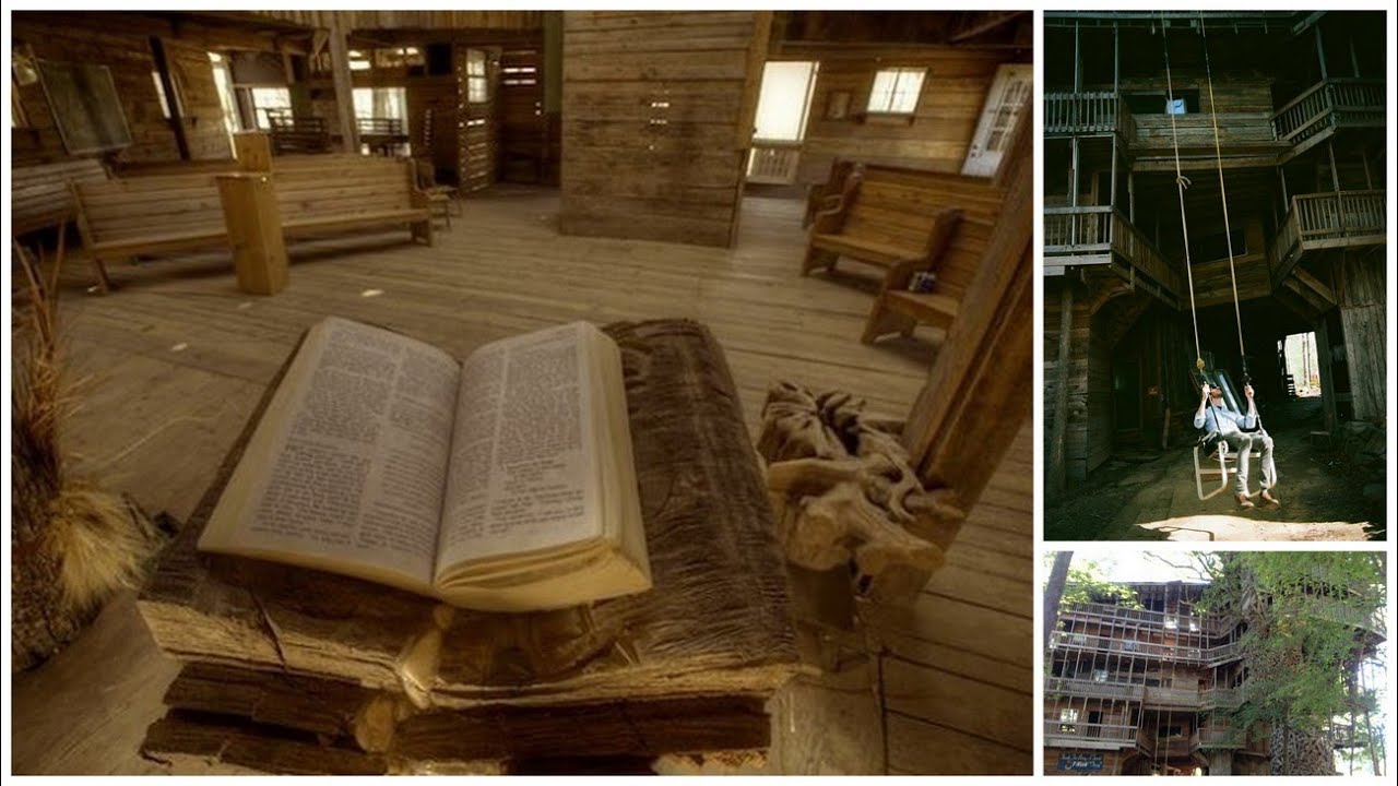 The World's Largest Treehouse Is A Strange Place life facebook