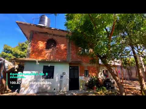 Palmitas